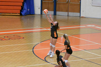JV