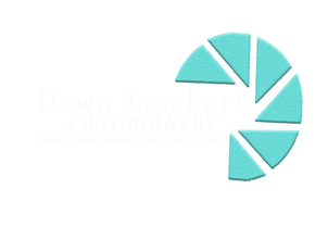 Dawn Lambert Photography